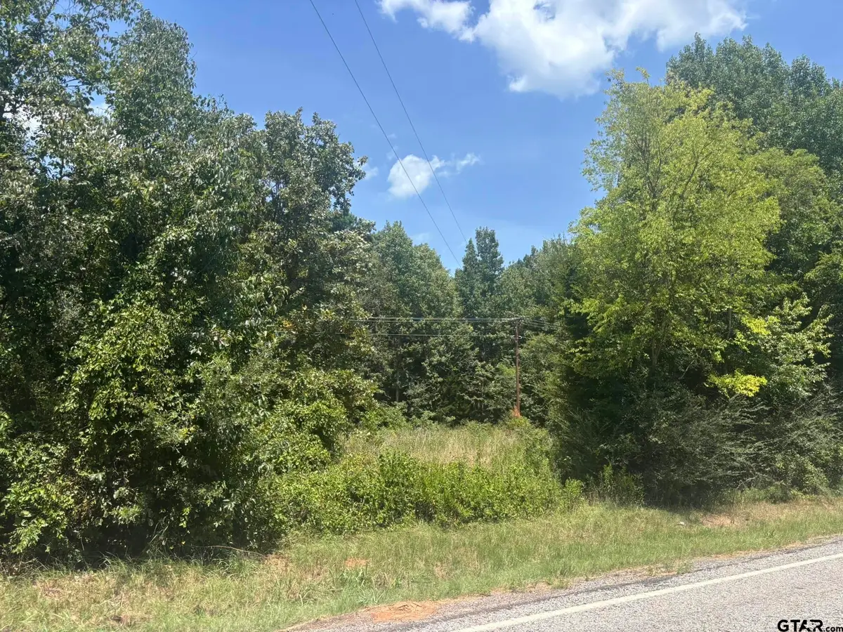 TBD Fm 993, Pittsburg, TX 75686 - #1