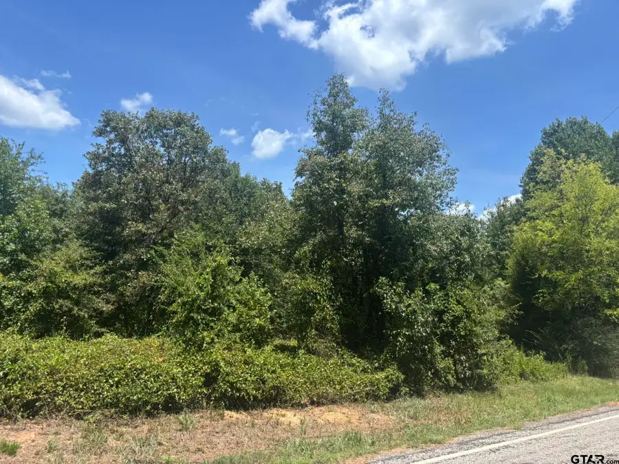 TBD Fm 993, Pittsburg, TX 75686 - #3