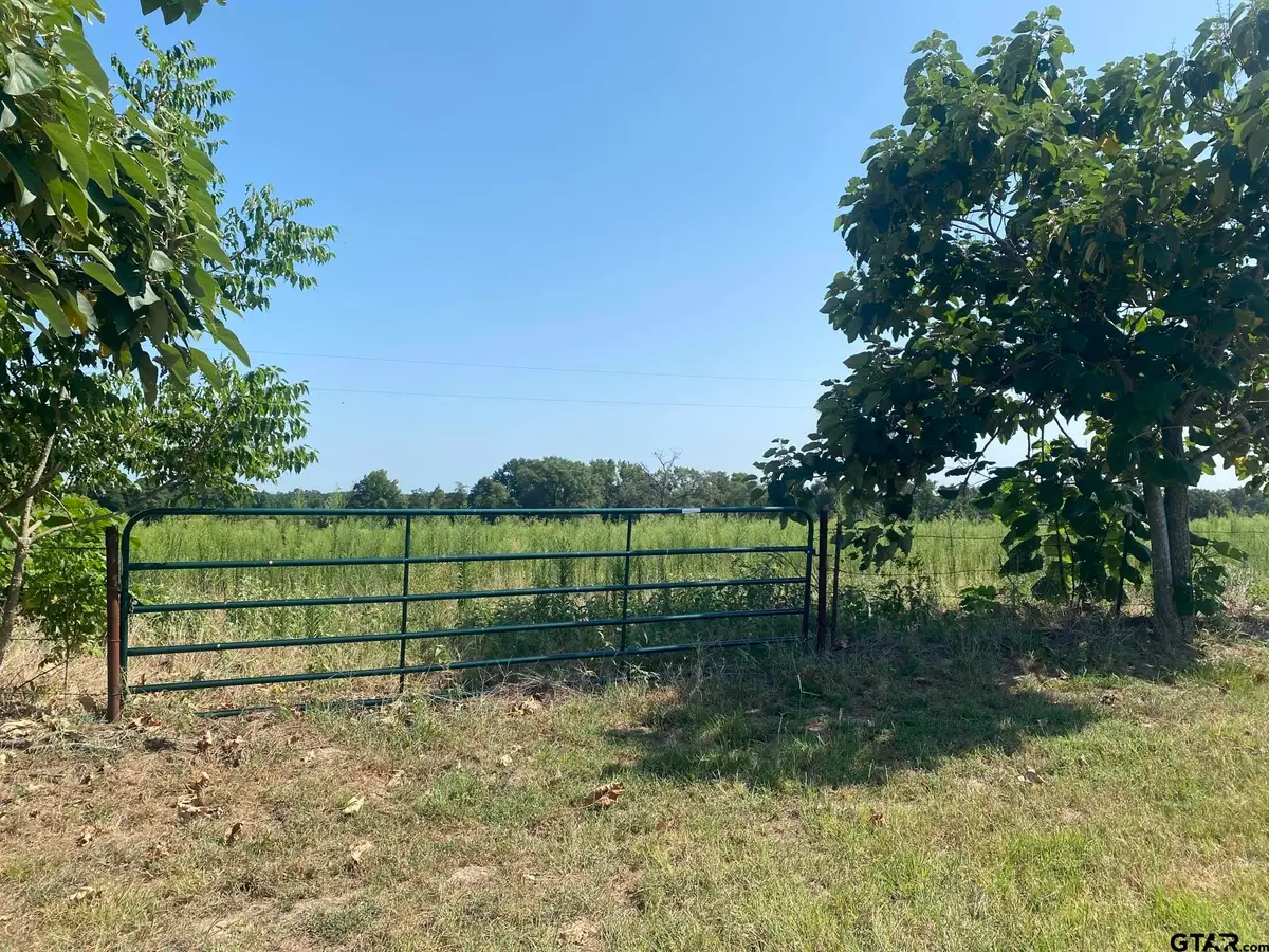 000 Cr 1323, Pittsburg, TX 75686 - #1