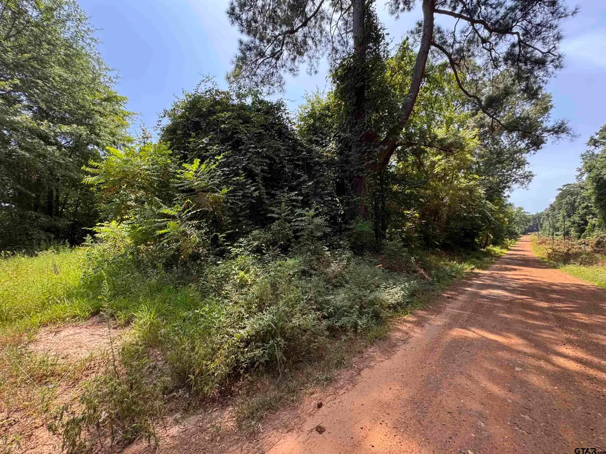 551 Pleasure Point Rd, Lone Star, TX 75668 - #1