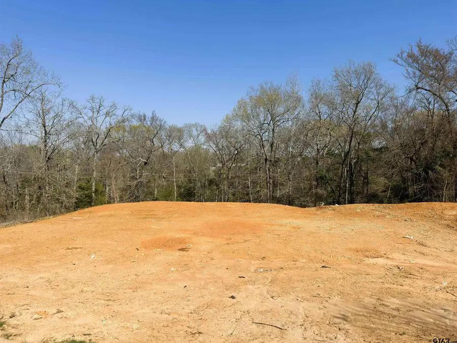 110 Elmwood Court, Palestine, TX 75801 - #2