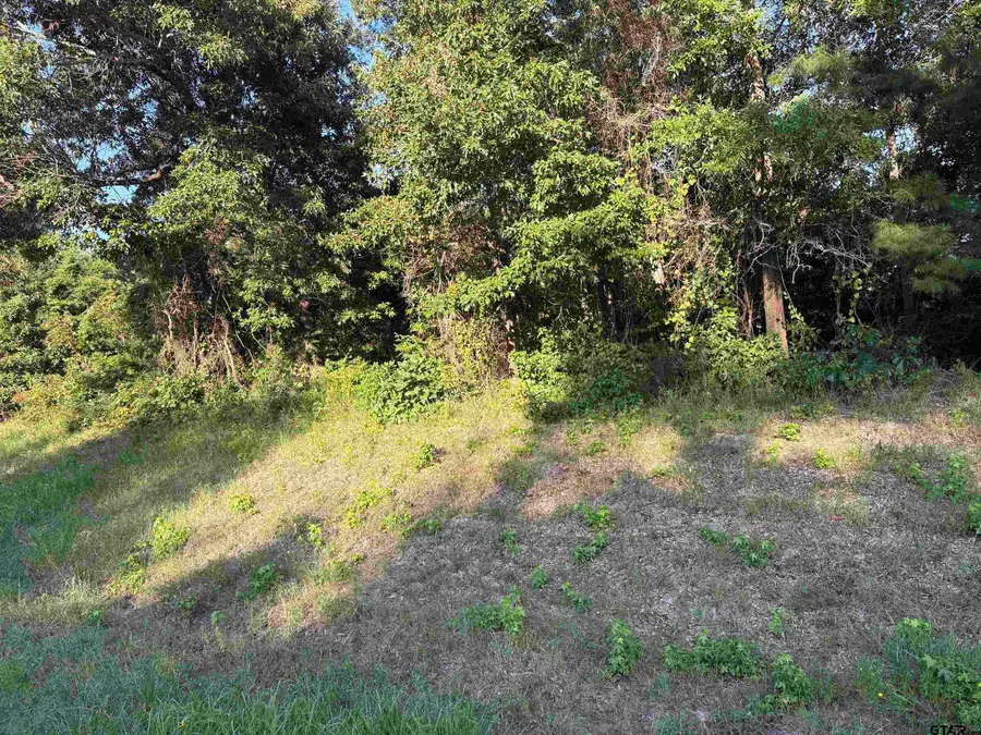 15531 Hwy 135, Overton, TX 75684 - #2