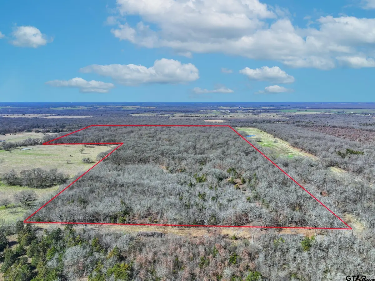 000 Ne County Road 2160, Mount Vernon, TX 75457 - #1