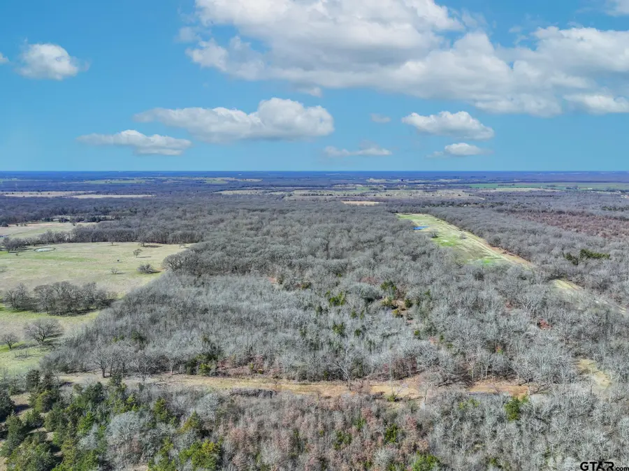 000 Ne County Road 2160, Mount Vernon, TX 75457 - #2