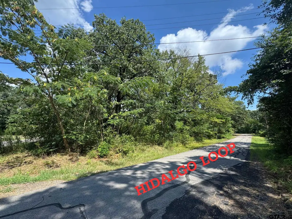 0 Hidalgo Loop, Mabank, TX 75156 - #1