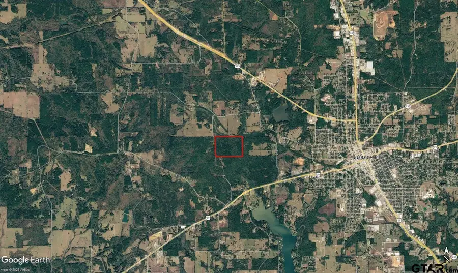 TBD County Road 3303, Jacksonville, TX 75766 - #2