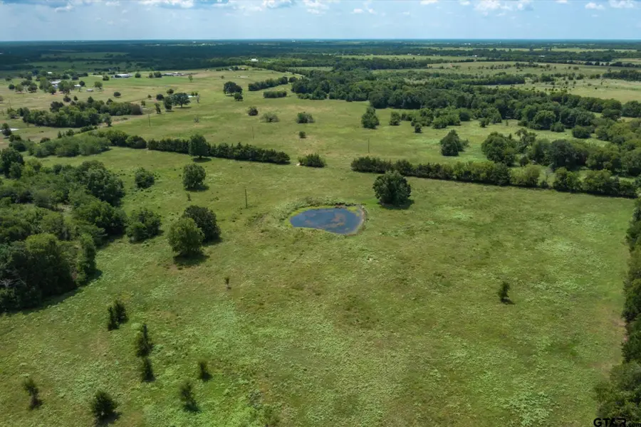 TBD Vz County Road 3812, Wills Point, TX 75169 - #3