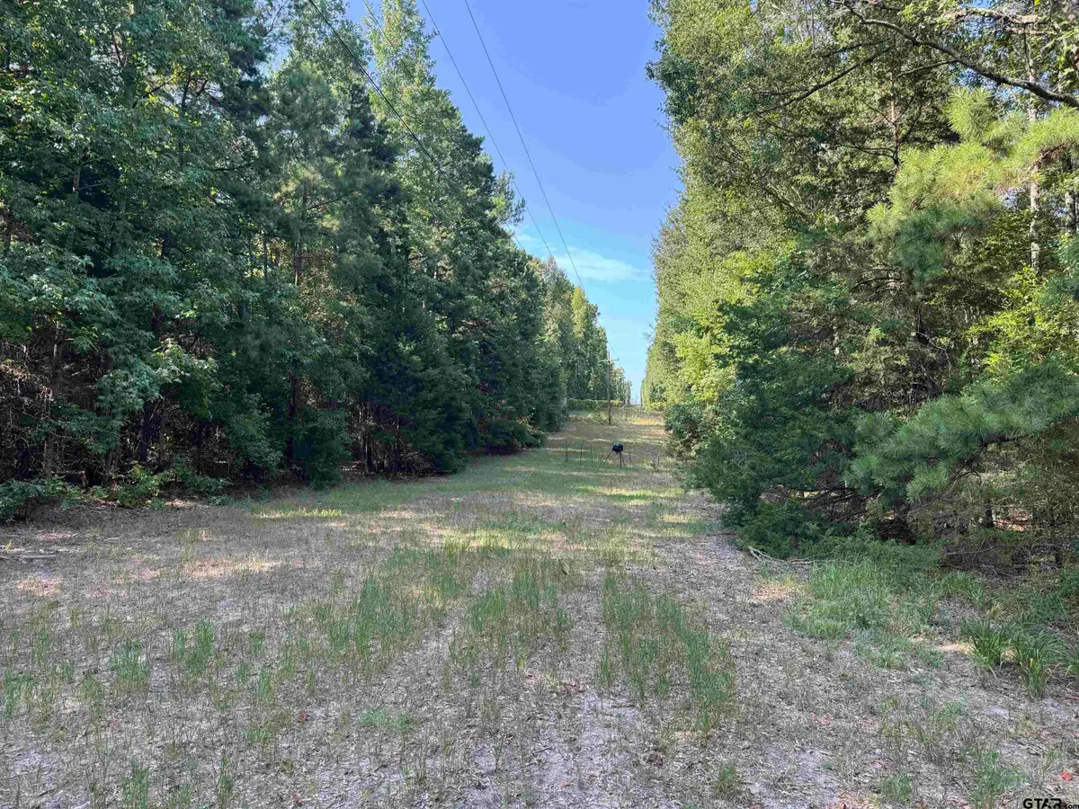 1301 An County Road 3552, Palestine, TX 75803 - #1
