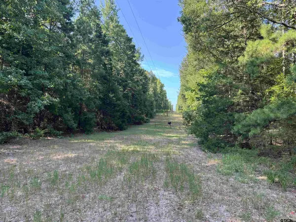 1301 An County Road 3552, Palestine,  75803