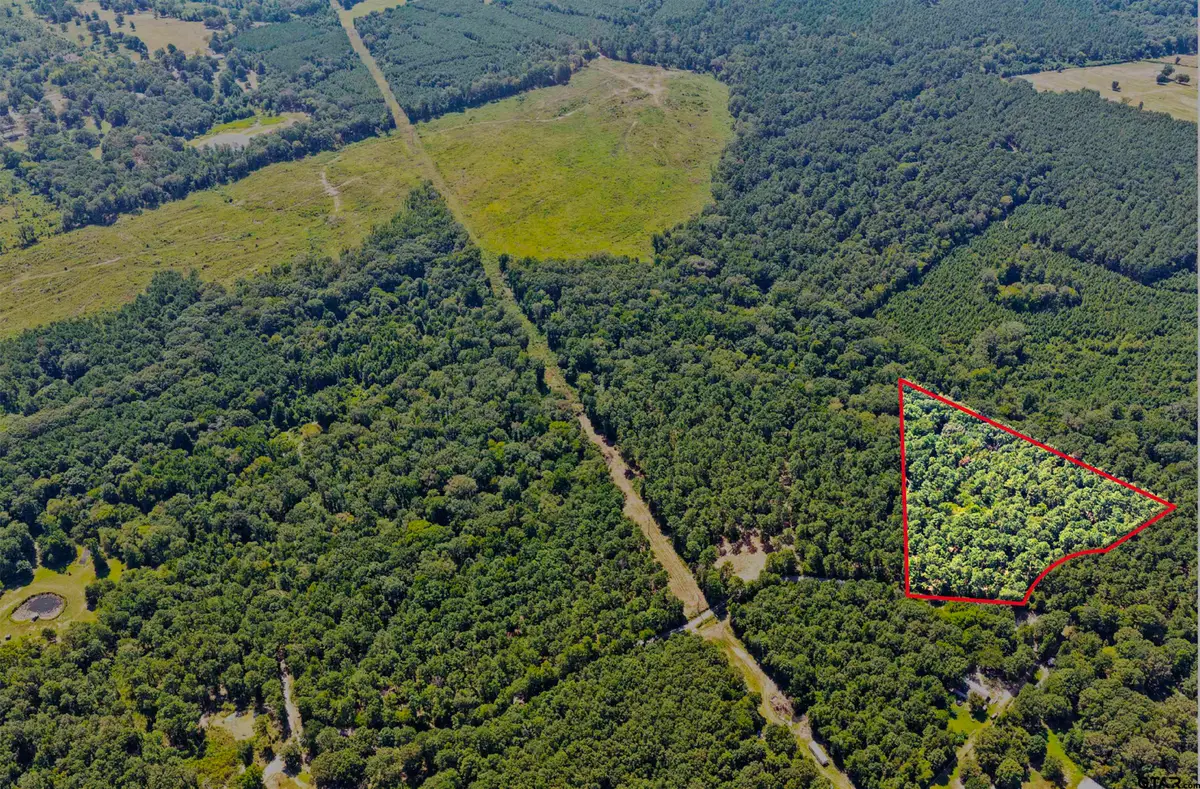 Lot 1 County Road 1240, Pittsburg, TX 75686 - #1