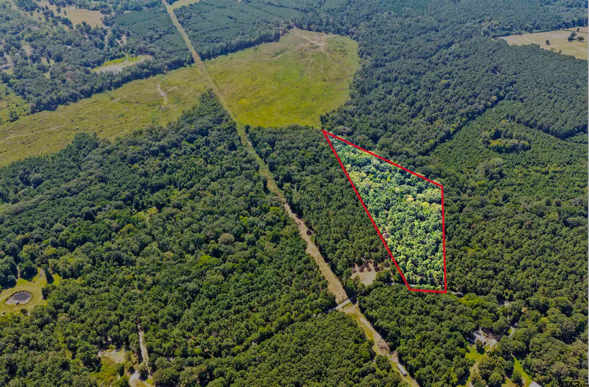 Lot 2 County Road 1240, Pittsburg, TX 75686 - #1