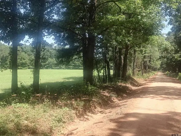 381 County Road 4688, Tenaha,  75974