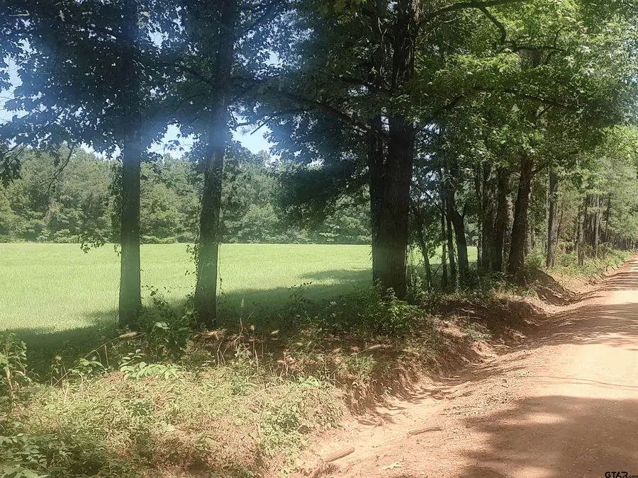 381 County Road 4688, Tenaha, TX 75974 - #2