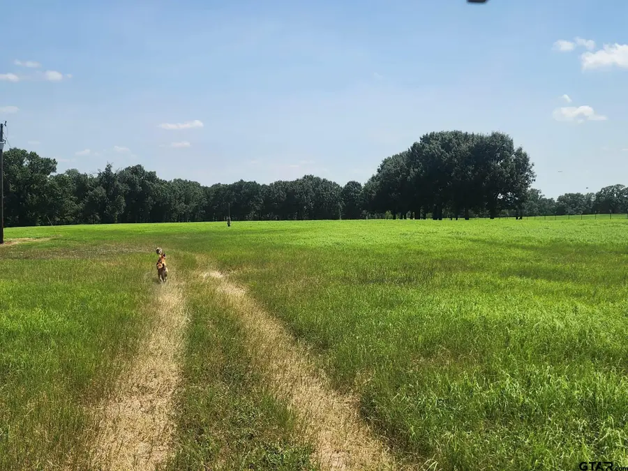 7485 Cr 3913, Athens, TX 75752 - #2