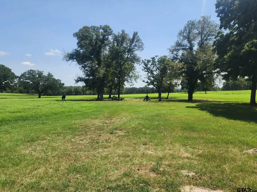 7485 Cr 3913, Athens, TX 75752 - #3