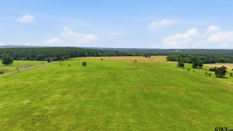 Lot 2 County Road 3689, Big Sandy, TX 75755 - #3