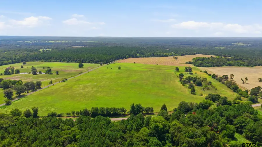 Lot 4 County Road 3689, Big Sandy, TX 75755 - #3