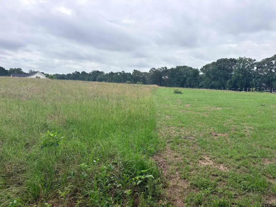 TBD LOT 2 County Road 401, Henderson, TX 75654 - #2