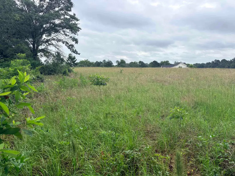 TBD LOT 2 County Road 401, Henderson, TX 75654 - #3