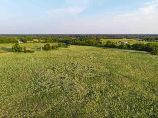 TBD Cr 3356, Saltillo,  75478