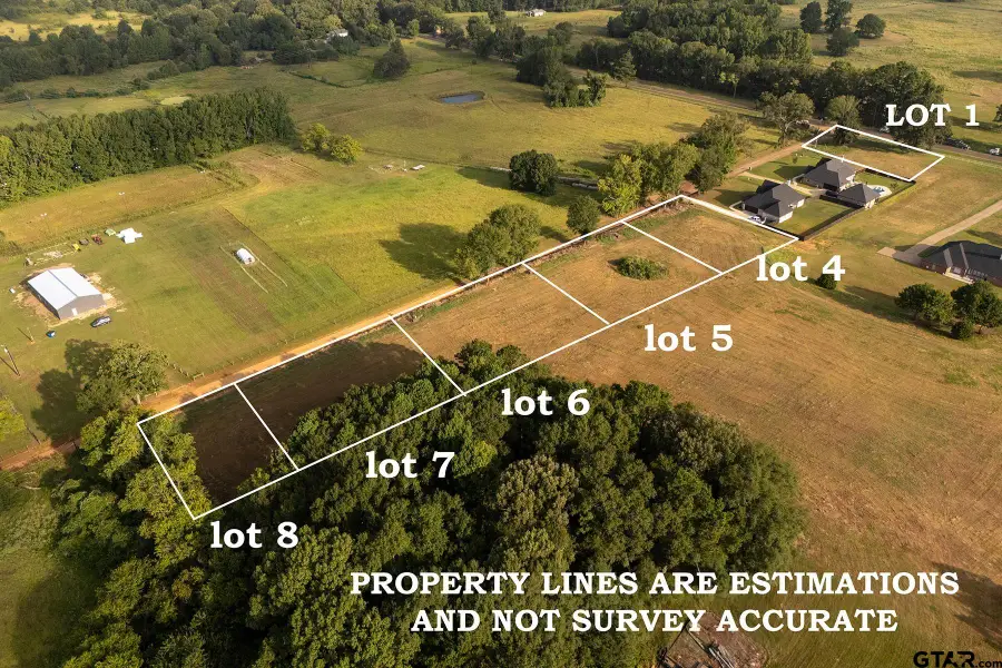 261 County Road 3421 (lot 7), Bullard, TX 75757 - #2
