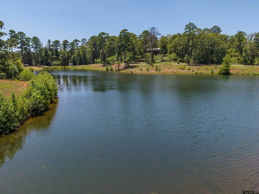 4437 Fm 1801, Mineola, TX 75773 - #2