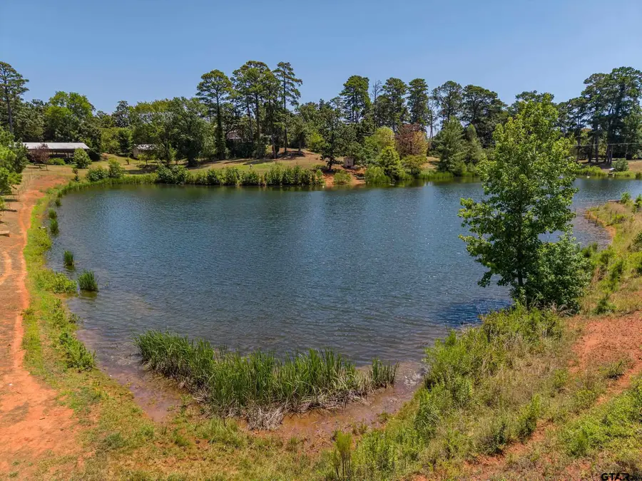 4437 Fm 1801, Mineola, TX 75773 - #3
