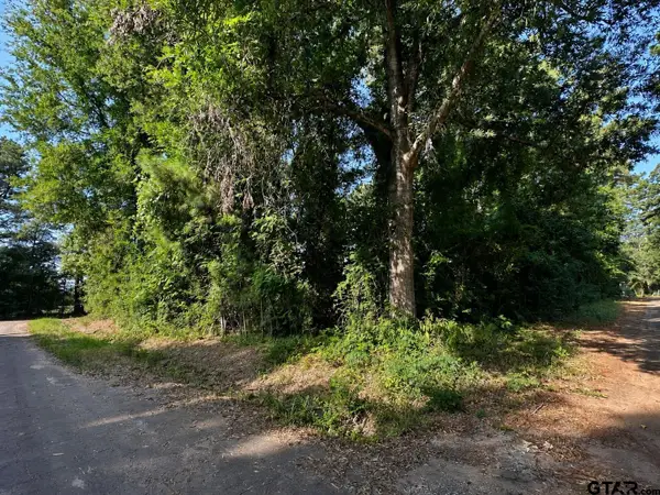 TBD County Road 2177, Quitman,  75783