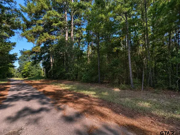 TBD County Road 2150, Quitman,  75783
