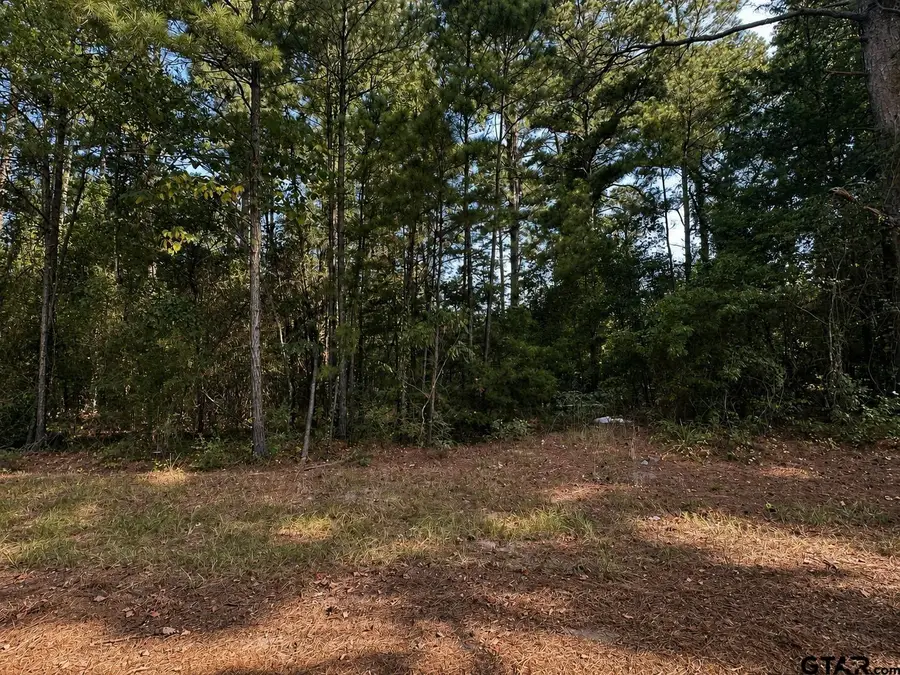 TBD County Road 2150, Quitman, TX 75783 - #2