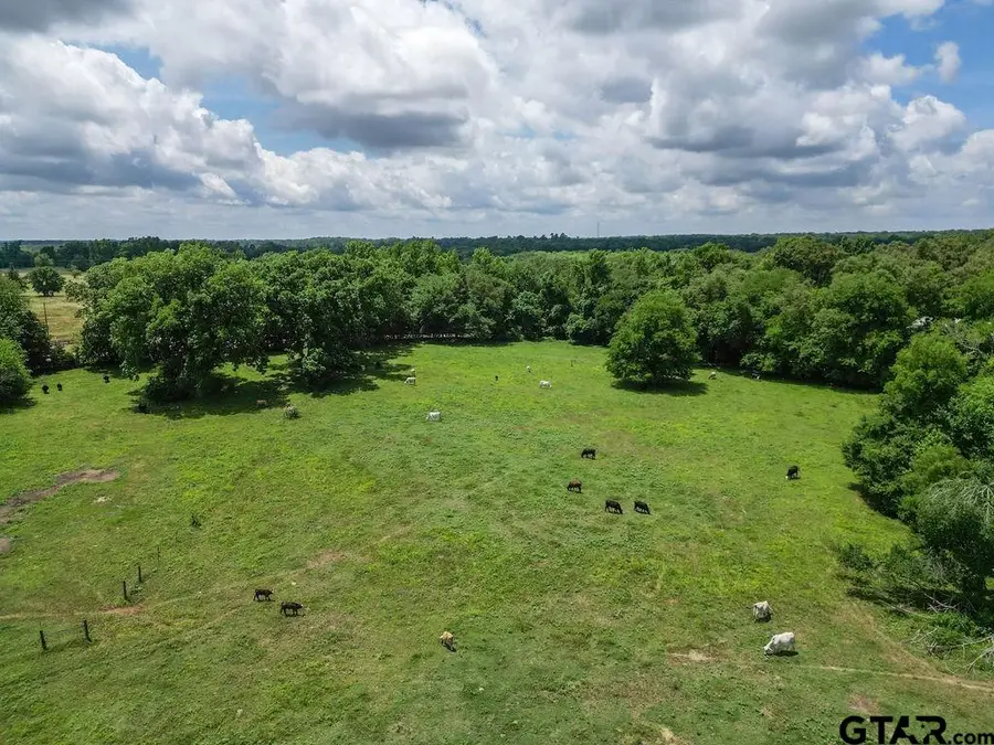 #4418 Fm 1000, Mount Pleasant, TX 75455 - #3