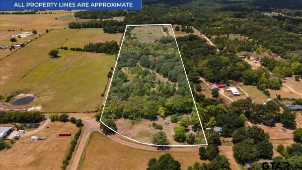 2510 Vz Cr 4511, Ben Wheeler, TX 75754