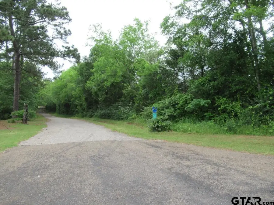 22448 Shady Trail, Flint, TX 75762 - #2