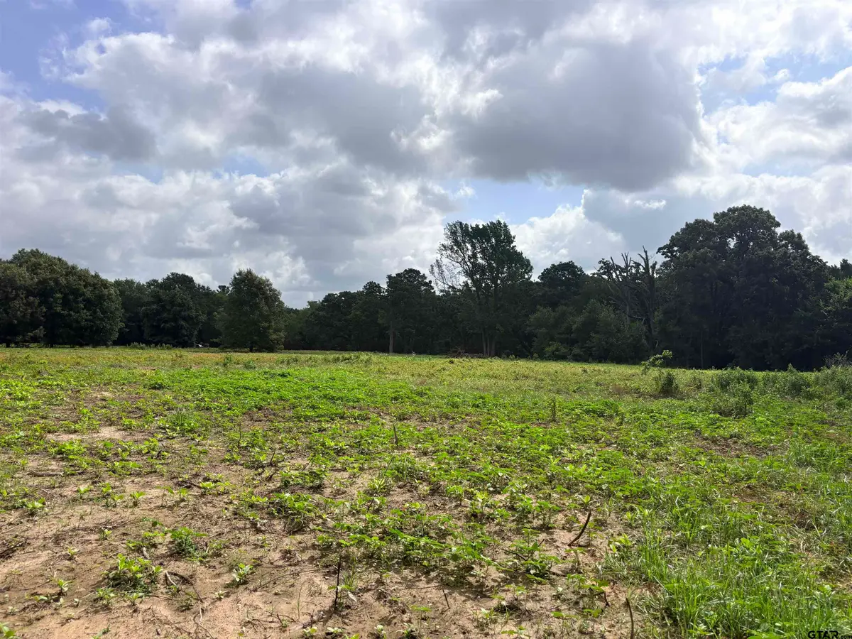 10268 N Fm 607, Brownsboro, TX 75756 - #1