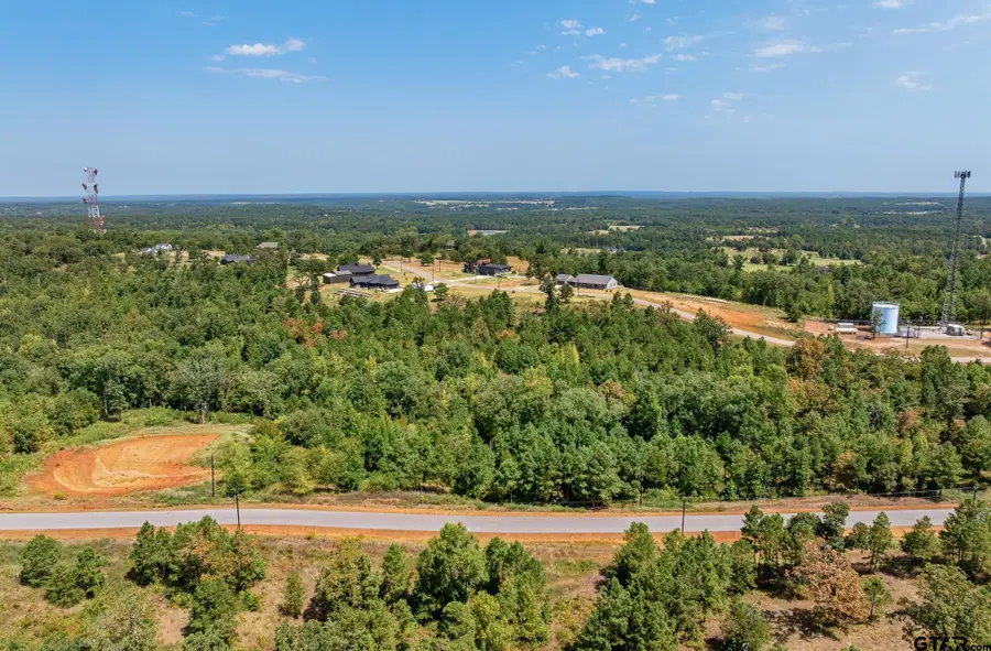 16144 W Valley View Court, Winona, TX 75792 - #2