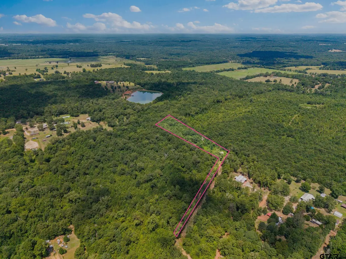 175 Hickory Road, Hallsville, TX 75650 - #1