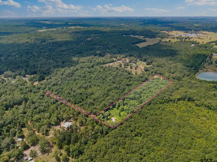 175 Hickory Road, Hallsville, TX 75650 - #3