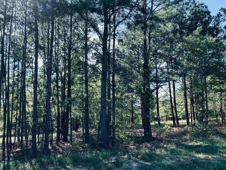 2601 N Fm 346, Bullard, TX 75757 - #2