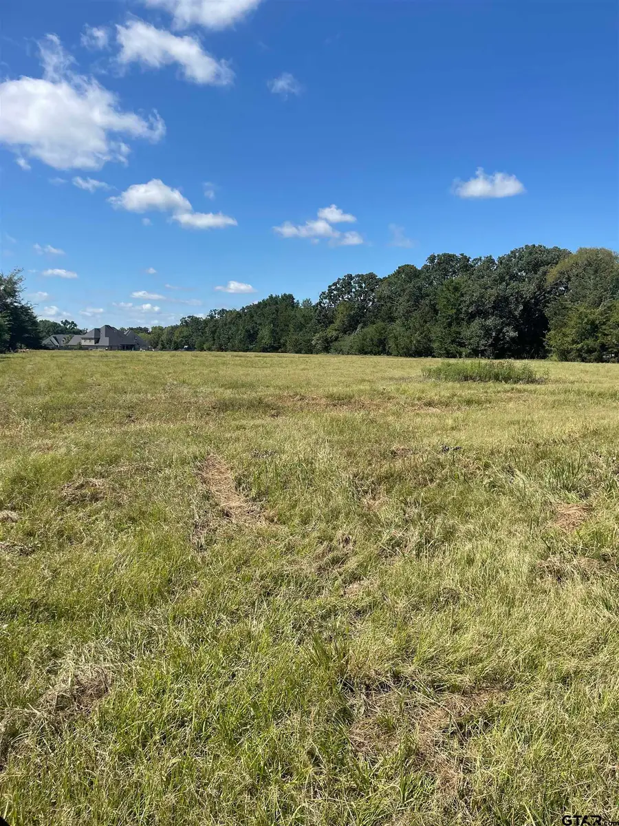 0000 Fm 175, Bullard, TX 75757 - #3