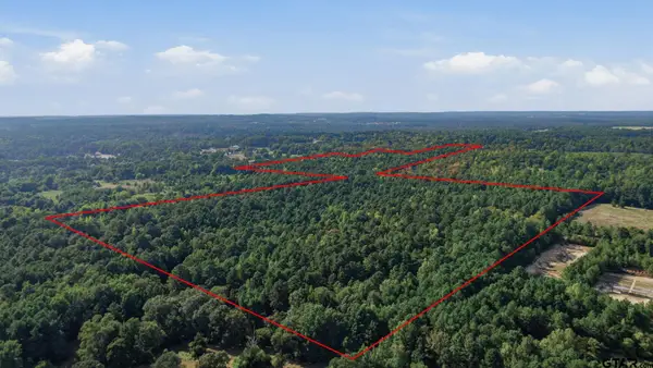 0 An County Road 359, Palestine, TX 75801