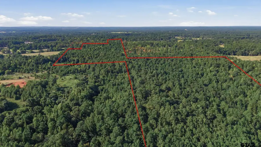 0 An County Road 359, Palestine, TX 75801 - #2