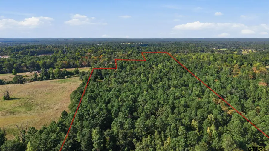 0 An County Road 359, Palestine, TX 75801 - #3