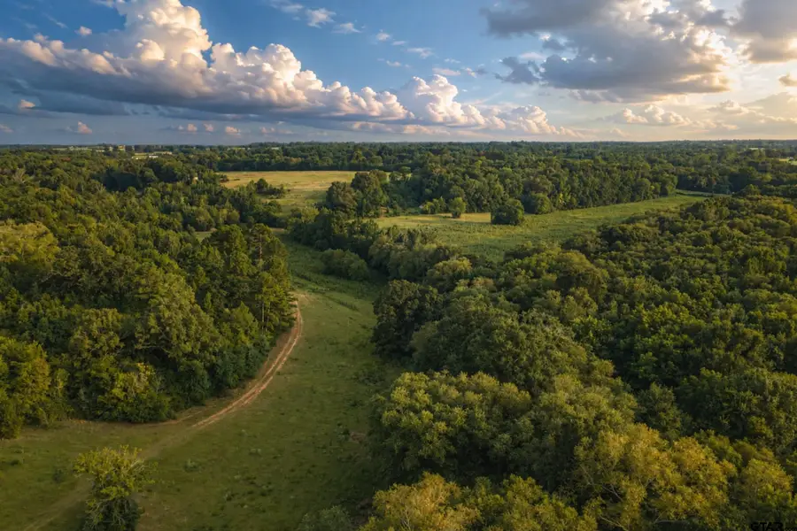 12251 Fm 16 E, Winona, TX 75792 - #3