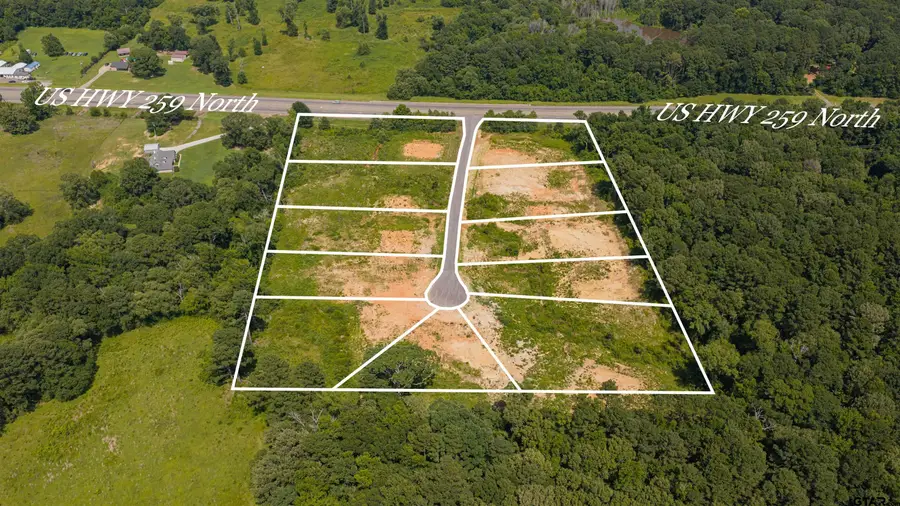0000 Parra Dr, Diana, TX 75640 - #3