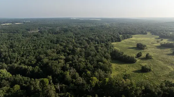 TBD Cr 461, Laneville, TX 75667