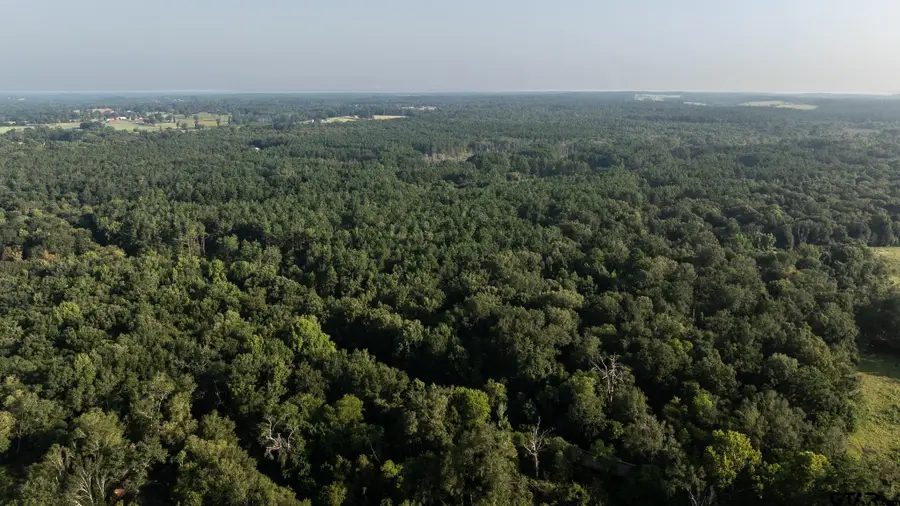 TBD Cr 461, Laneville, TX 75667 - #2