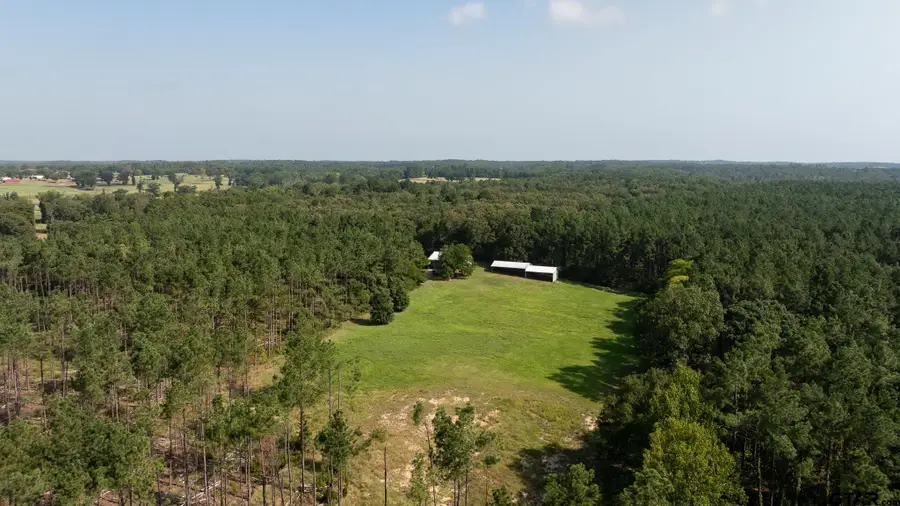 TBD Cr 461, Laneville, TX 75667 - #3