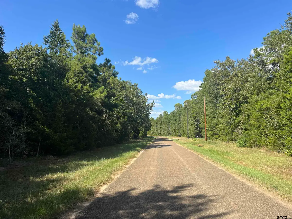 1803 Cr 4606, Troup, TX 75789 - #1