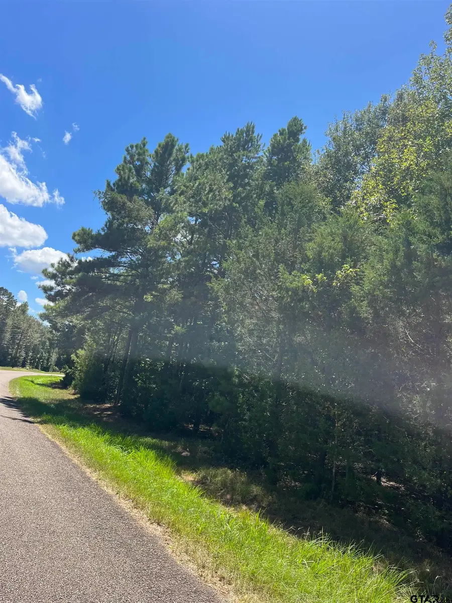 1803 Cr 4606, Troup, TX 75789 - #3