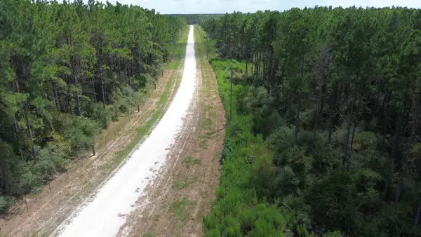 Tract 18 Pr 8160, Lovelady, TX 75851